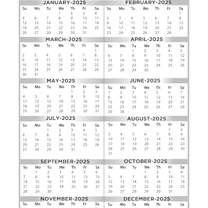 2025 2029 Monthly Planner Two Pages Per Month Five year Calendar 