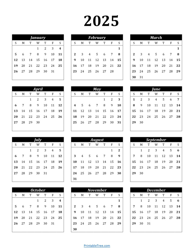 2025 One Page Calendar Printable Pdf Paiman Finn