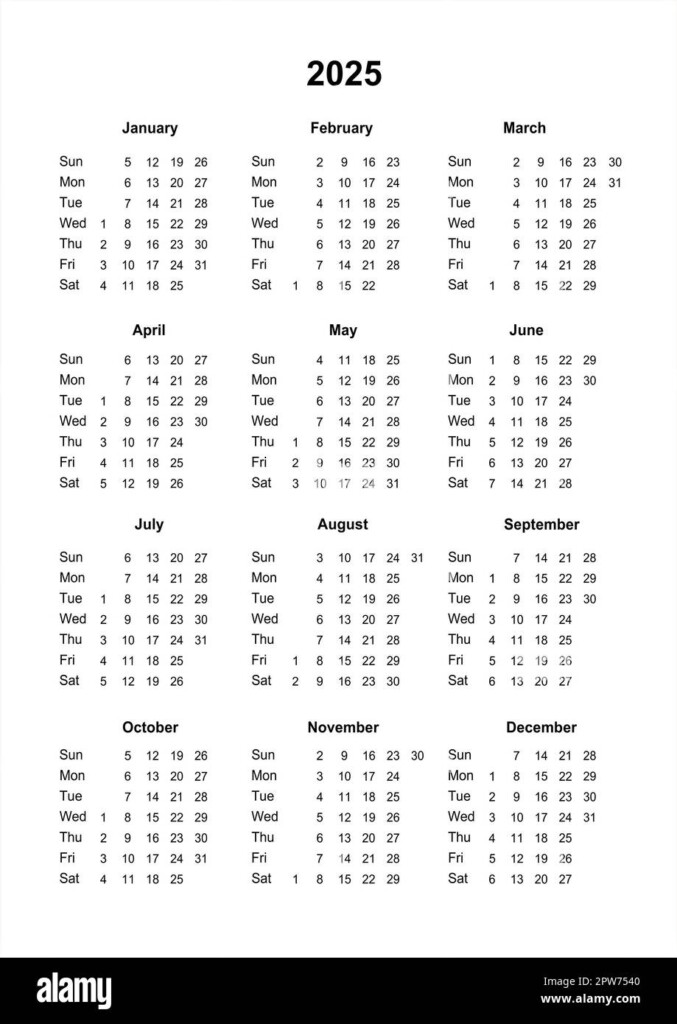 Minimalist Wall Calendar 2025 Mary D Mayer