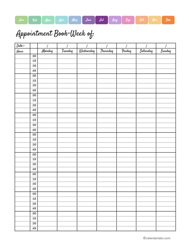 Monthly Appointment Calendar 2025 Lauri R Mayer