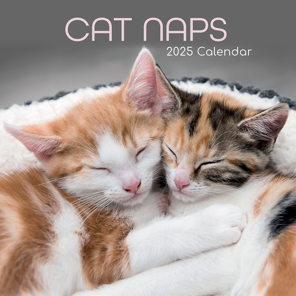 Printable 2025 Cat Calendar Hana Eleanor