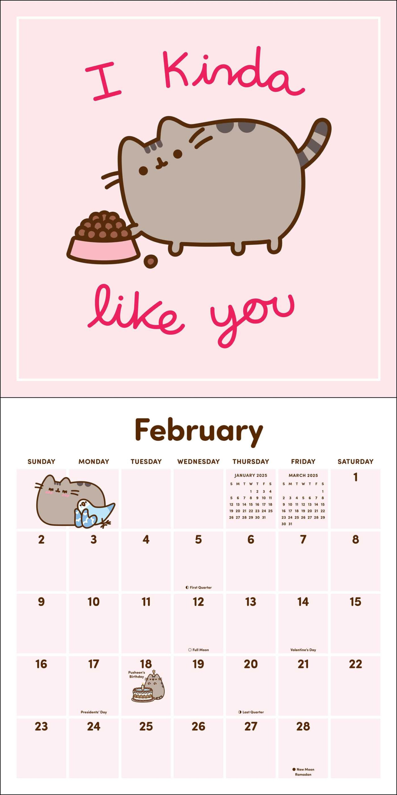 Pusheen 2025 Wall Calendar Book Summary Video Official Publisher